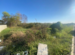 รถมือสอง อสังหาริมทรัพย์ ที่ดิน ปี 0 