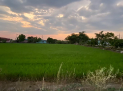 รถมือสอง อสังหาริมทรัพย์ ที่ดิน ปี 0 