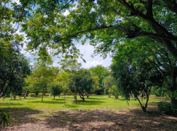 รถมือสอง อสังหาริมทรัพย์ ที่ดิน ปี 0 