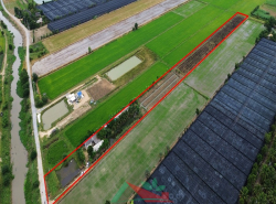 รถมือสอง อสังหาริมทรัพย์ ที่ดิน ปี 0 