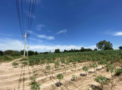 รถมือสอง อสังหาริมทรัพย์ ที่ดิน ปี 0 