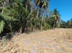 รถมือสอง อสังหาริมทรัพย์ ที่ดิน ปี 0 