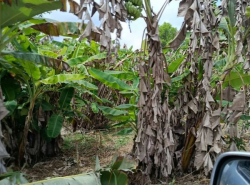 รถมือสอง อสังหาริมทรัพย์ ที่ดิน ปี 0 