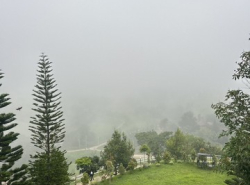 รถมือสอง อสังหาริมทรัพย์ ที่ดิน ปี 0 