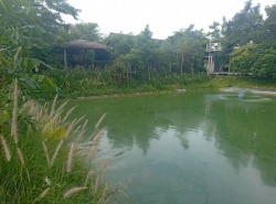 รถมือสอง อสังหาริมทรัพย์ ที่ดิน ปี 0 