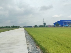 ขายที่ดิน5ไร่-30ไร่อ.เมืองฉะเชิงเทราเขตEECผังสีม่วงจุดสีขาวแปลงสวยหน้ากว้างติดถนนสาธารณะ