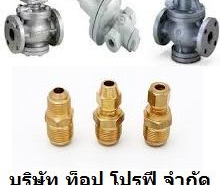 วาล์วน้ำมัน วาล์วลม วาล์วน้ำ วาล์วแก๊ส แพนเช็ควาล์ว สวิงเช็ควาล์ว วูซั