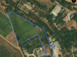 รถมือสอง อสังหาริมทรัพย์ ที่ดิน ปี 0 