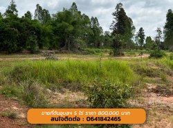 รถมือสอง อสังหาริมทรัพย์ ที่ดิน ปี 0 