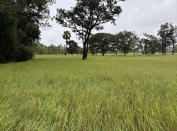 อสังหาริมทรัพย์ - ที่ดิน