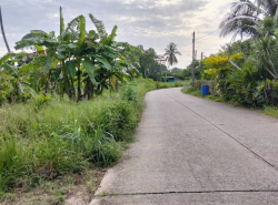 รถมือสอง อสังหาริมทรัพย์ ที่ดิน ปี 0 