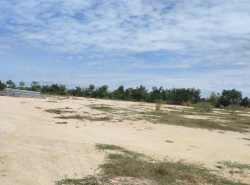 รถมือสอง อสังหาริมทรัพย์ ที่ดิน ปี 0 