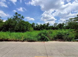รถมือสอง อสังหาริมทรัพย์ ที่ดิน ปี 0 
