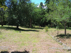 รถมือสอง อสังหาริมทรัพย์ ที่ดิน ปี 0 