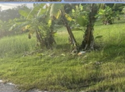 รถมือสอง อสังหาริมทรัพย์ ที่ดิน ปี 0 