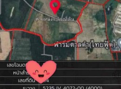 ขายที่ดินสีเหลืองหนองอิรุณ พนัสนิคม ชลบุรี (เนื้อที่ 137 ไร่ ขายไร่ละ 6 แสน รวมเป็นเงิน 82,200,000 ล้านบาท)  หนองอิรุณ พนัสนิคม ชลบุรี 20220