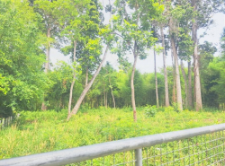 รถมือสอง อสังหาริมทรัพย์ ที่ดิน ปี 0 