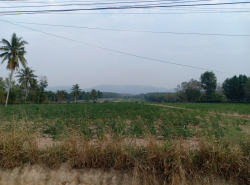 รถมือสอง อสังหาริมทรัพย์ ที่ดิน ปี 0 