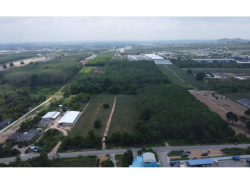 ขายที่ดินสร้างโรงงาน ผังสีม่วง 48 ไร่ ต.มะขามคู่ อ.นิคมพัฒนา จ.ระยอง 