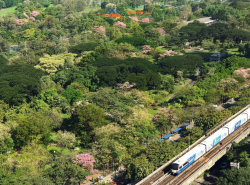 ขายราคาพิเศษ Condo The Line จตุจักร - หมอชิต ห้องแต่งสวย วิวสีเขียวใกล้ BTS หมอชิต