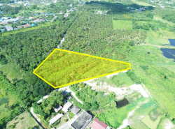 ขาย ที่ดิน ทำเลดี หอมเกร็ด สามพราน ใกล้ถ.พุทธมณฑลสาย 7 ขนาด 6 ไร่ 2 งาน 3 ตรว เหมาะทำโครงการบ้านจัดสรร โกดัง ราคาพิเศษ