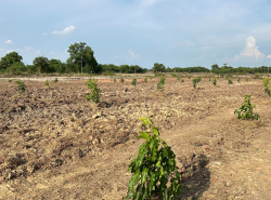 รถมือสอง อสังหาริมทรัพย์ ที่ดิน ปี 0 