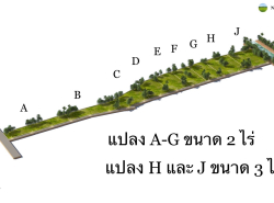 ขายที่ดินสวย 2 ไร่ และ 3 ไร่ เจ้าของขายเอง ตำบลท่าเรือ อำเภอปากพลี นคร