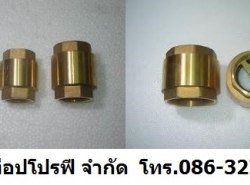 วาล์วทองเหลือง เช็ควาล์ว แพนเช็ควาล์ว เช็ควาล์วกันย้อนกลับ สวิงเช็ควาล