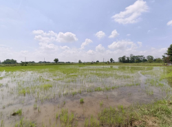 รถมือสอง อสังหาริมทรัพย์ ที่ดิน ปี 0 