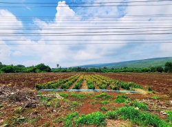 รถมือสอง บ้านที่ดินผ่อนตรงกับเจ้าของ ผ่อนตรงกับเจ้าของ ปี 0 