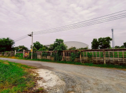 รถมือสอง อสังหาริมทรัพย์ ที่ดิน ปี 0 