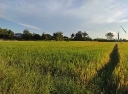รถมือสอง อสังหาริมทรัพย์ ที่ดิน ปี 0 