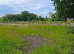 รถมือสอง อสังหาริมทรัพย์ ที่ดิน ปี 0 