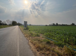 รถมือสอง อสังหาริมทรัพย์ ที่ดิน ปี 0 