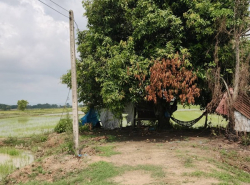 รถมือสอง อสังหาริมทรัพย์ ที่ดิน ปี 0 