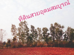รถมือสอง อสังหาริมทรัพย์ ที่ดิน ปี 0 