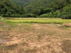 ที่ดินเปล่า ติดลำธาร หุบเขา วิวสวย น้ำแพร่ หางดง อยู่ในชุมชน