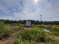 รถมือสอง อสังหาริมทรัพย์ ที่ดิน ปี 0 