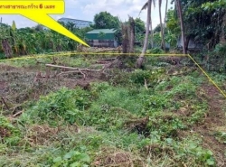 ขาย ที่ดิน  157ตรว เพชรเกษม48 ภาษีเจริญ กรุงเทพ อยู่ซอยเพชรเกษม 48 แยก 4-7 แขวงบางด้วน เขตภาษีเจริญ กทม เพชรเกษม48 157 ตรว