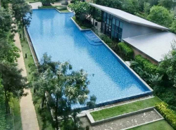 ขาย คอนโด ตกแต่งสวยงามพร้อมเข้าอยู่ D Condo Nim เชียงใหม่ 30 ตรม ใกล้เซ็นทรัลเฟสติวัล