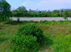รถมือสอง อสังหาริมทรัพย์ ที่ดิน ปี 0 
