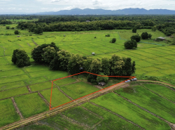 รถมือสอง อสังหาริมทรัพย์ ที่ดิน ปี 0 