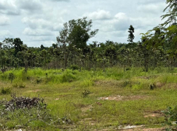 รถมือสอง อสังหาริมทรัพย์ ที่ดิน ปี 0 