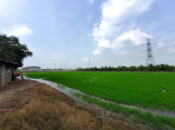 อสังหาริมทรัพย์ - ที่ดิน