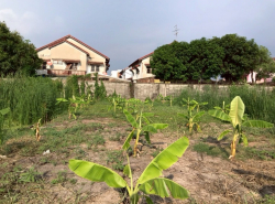 รถมือสอง อสังหาริมทรัพย์ ที่ดิน ปี 0 