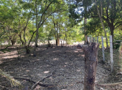 รถมือสอง อสังหาริมทรัพย์ ที่ดิน ปี 0 