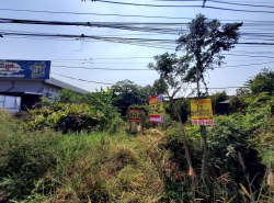 อสังหาริมทรัพย์ - ที่ดิน