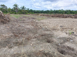 รถมือสอง อสังหาริมทรัพย์ ที่ดิน ปี 0 