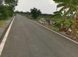 พื้นที่ดิน ที่ดินติดคลองหลวงแพ่ง ลำต้อยติ่ง หนองจอก 62 SQ.WA 1 ngan 5 ไร่  10000000 THB เยี่ยม!