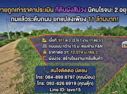 ขายถูกเท่าราคาประเมิน ที่ดินผังสีม่วง 911 ตร.ว. นิคมโรจนะ 2 อยุธยา